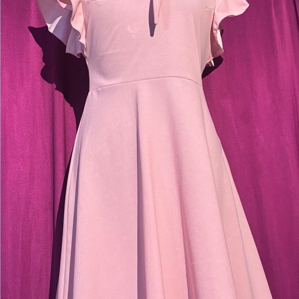 Spring Season Adjustable Tie-Neck Pink Fit & Flare Dress - Picture 14 of 16